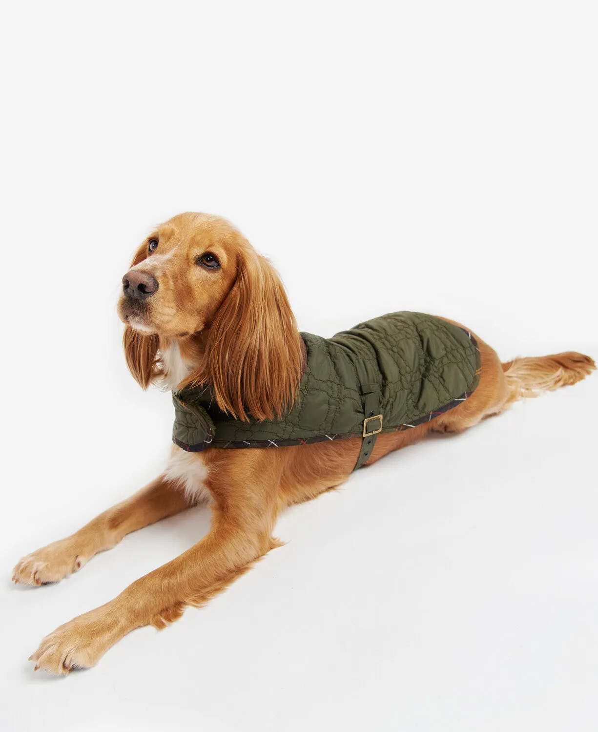 Barbour Dog Bone Quilted Dog Coat - Dark Olive